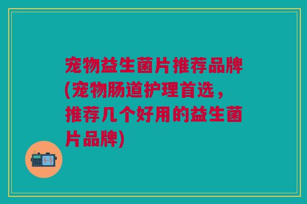 宠物益生菌片推荐品牌(宠物肠道护理首选,推荐几个好用的益生菌片品牌)
