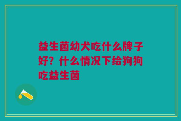 益生菌幼犬吃什么牌子好?什么情况下给狗狗吃益生菌 益生菌幼犬吃什么牌子好?什么情况下给狗狗吃益生菌