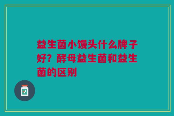 益生菌小馒头什么牌子好？酵母益生菌和益生菌的区别