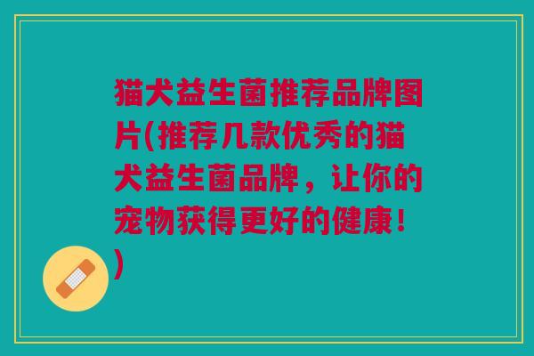 猫犬益生菌推荐品牌图片(推荐几款优秀的猫犬益生菌品牌,让你的宠物获得更好的健康!)