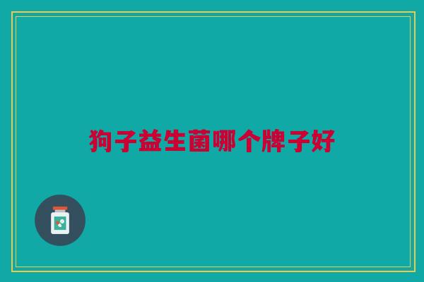 狗子益生菌哪个牌子好