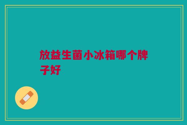 放益生菌小冰箱哪个牌子好