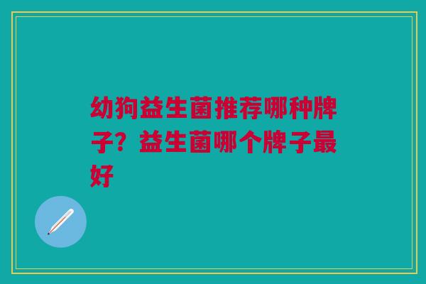 幼狗益生菌推荐哪种牌子?益生菌哪个牌子最好