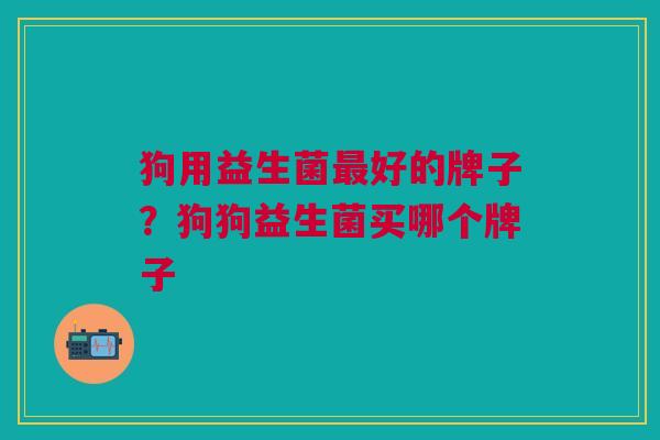 狗用益生菌最好的牌子?狗狗益生菌买哪个牌子