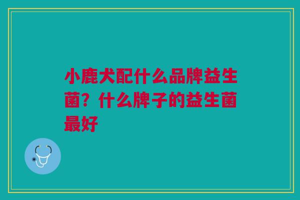 小鹿犬配什么品牌益生菌?什么牌子的益生菌最好