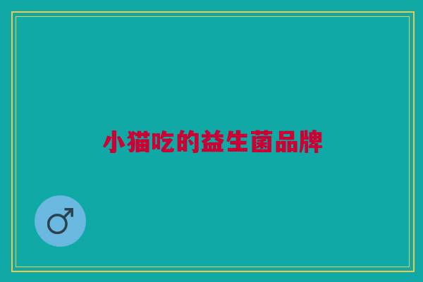 小猫吃的益生菌品牌