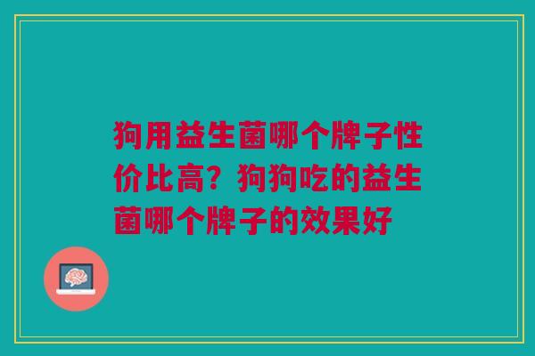 狗用益生菌哪个牌子性价比高?狗狗吃的益生菌哪个牌子的效果好