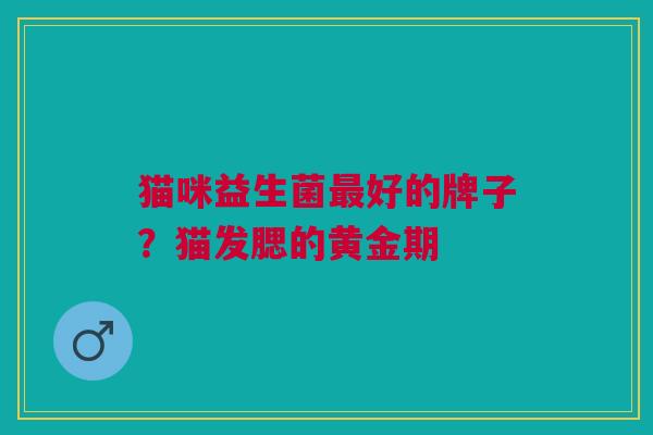 猫咪益生菌最好的牌子?猫发腮的黄金期