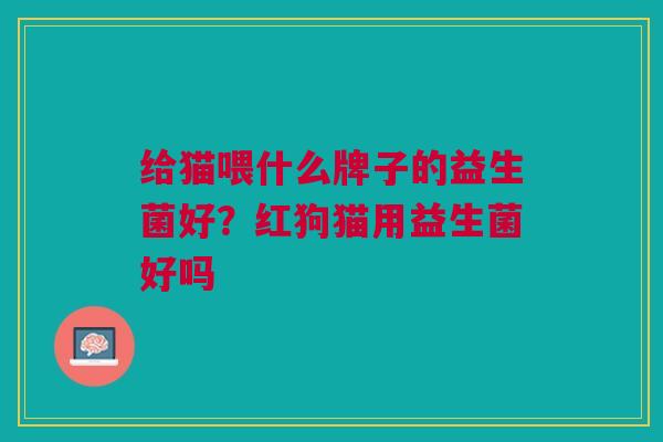 给猫喂什么牌子的益生菌好?红狗猫用益生菌好吗