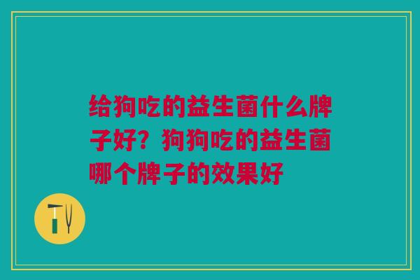 给狗吃的益生菌什么牌子好?狗狗吃的益生菌哪个牌子的效果好
