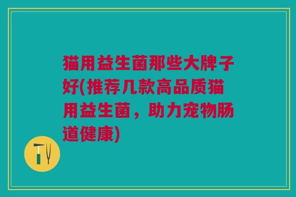 猫用益生菌那些大牌子好(推荐几款高品质猫用益生菌,助力宠物肠道健康)