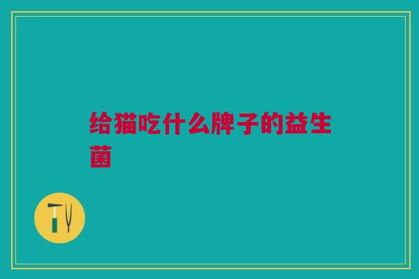 给猫吃什么牌子的益生菌 给猫吃什么牌子的益生菌