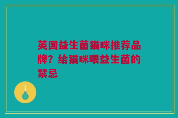 英国益生菌猫咪推荐品牌?给猫咪喂益生菌的禁忌