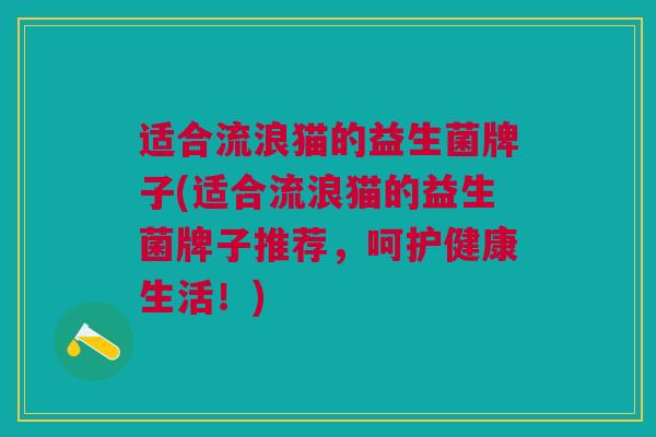 适合流浪猫的益生菌牌子(适合流浪猫的益生菌牌子推荐,呵护健康生活!)