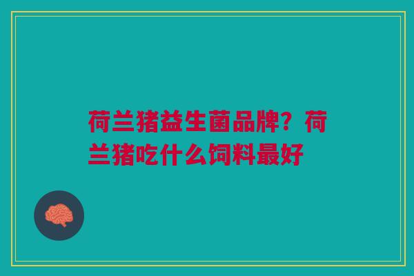 荷兰猪益生菌品牌?荷兰猪吃什么饲料最好