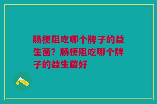 肠梗阻吃哪个牌子的益生菌?肠梗阻吃哪个牌子的益生菌好