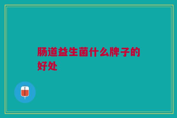肠道益生菌什么牌子的好处