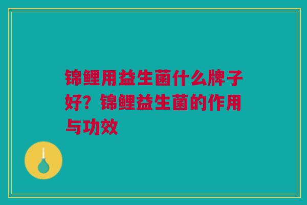 锦鲤用益生菌什么牌子好?锦鲤益生菌的作用与功效