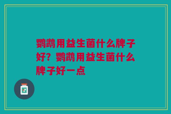 鹦鹉用益生菌什么牌子好？鹦鹉用益生菌什么牌子好一点