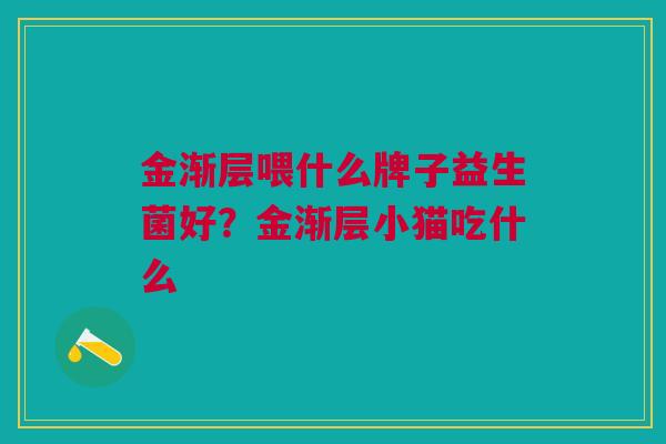 金渐层喂什么牌子益生菌好?金渐层小猫吃什么