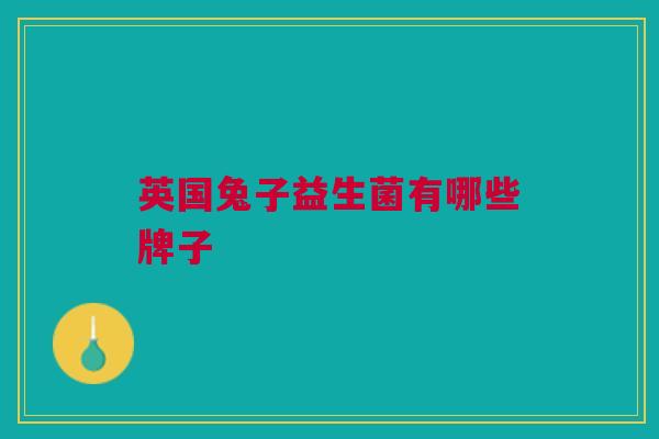 英国兔子益生菌有哪些牌子
