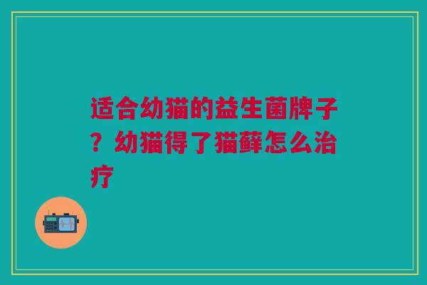适合幼猫的益生菌牌子?幼猫得了猫藓怎么治疗