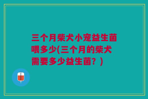 三个月柴犬小宠益生菌喂多少(三个月的柴犬需要多少益生菌?)