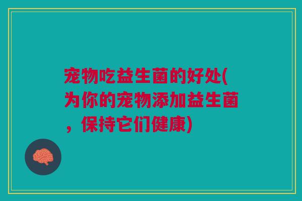 宠物吃益生菌的好处(为你的宠物添加益生菌,保持它们健康)