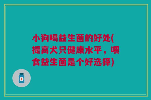 小狗喝益生菌的好处(提高犬只健康水平,喂食益生菌是个好选择)