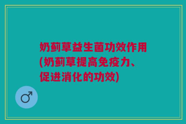 奶蓟草益生菌功效作用(奶蓟草提高免疫力、促进消化的功效)