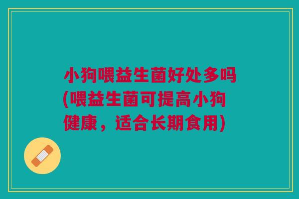 小狗喂益生菌好处多吗(喂益生菌可提高小狗健康，适合长期食用)