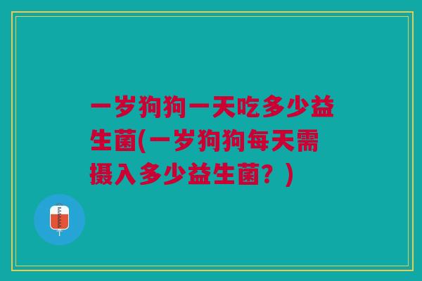一岁狗狗一天吃多少益生菌(一岁狗狗每天需摄入多少益生菌?)