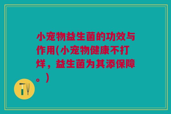 小宠物益生菌的功效与作用(小宠物健康不打烊,益生菌为其添保障。)