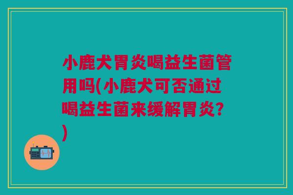 小鹿犬喝益生菌管用吗(小鹿犬可否通过喝益生菌来缓解?) 小鹿犬喝益生菌管用吗(小鹿犬可否通过喝益生菌来缓解?)