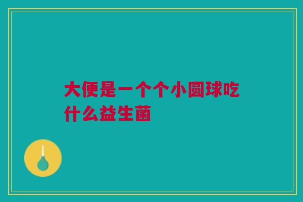 大便是一个个小圆球吃什么益生菌