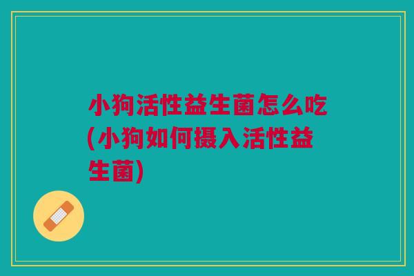 小狗活性益生菌怎么吃(小狗如何摄入活性益生菌)