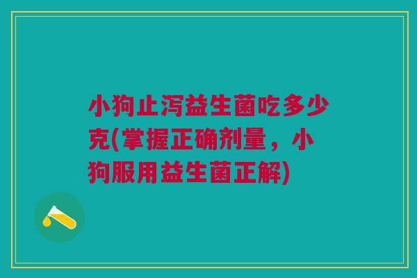 小狗止泻益生菌吃多少克(掌握正确剂量，小狗服用益生菌正解)