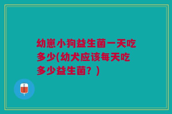 幼崽小狗益生菌一天吃多少(幼犬应该每天吃多少益生菌?)
