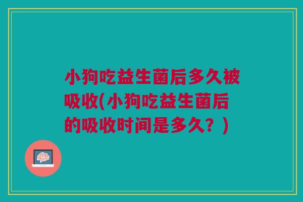 小狗吃益生菌后多久被吸收(小狗吃益生菌后的吸收时间是多久?) 小狗吃益生菌后多久被吸收(小狗吃益生菌后的吸收时间是多久?)