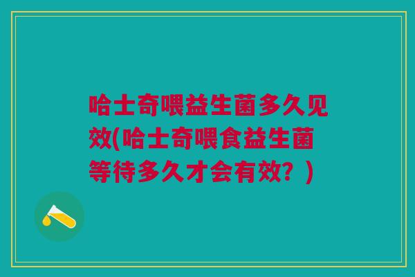 哈士奇喂益生菌多久见效(哈士奇喂食益生菌等待多久才会有效?)