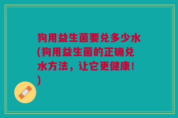 狗用益生菌要兑多少水(狗用益生菌的正确兑水方法,让它更健康!)