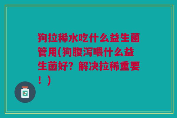 狗拉稀水吃什么益生菌管用(狗腹泻喂什么益生菌好?解决拉稀重要!)