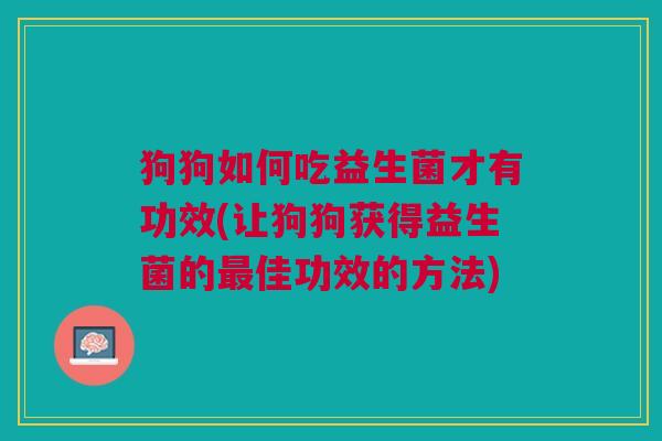 狗狗如何吃益生菌才有功效(让狗狗获得益生菌的最佳功效的方法)