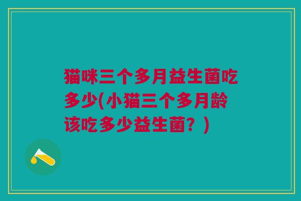 猫咪三个多月益生菌吃多少(小猫三个多月龄该吃多少益生菌?)