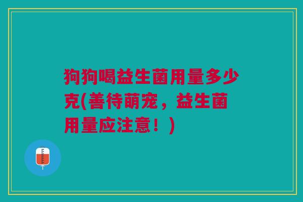 狗狗喝益生菌用量多少克(善待萌宠,益生菌用量应注意!) 狗狗喝益生菌用量多少克(善待萌宠,益生菌用量应注意!)