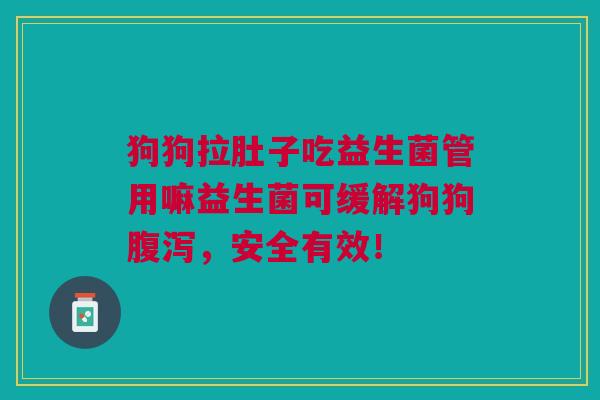 狗狗拉肚子吃益生菌管用嘛益生菌可缓解狗狗腹泻，安全有效！