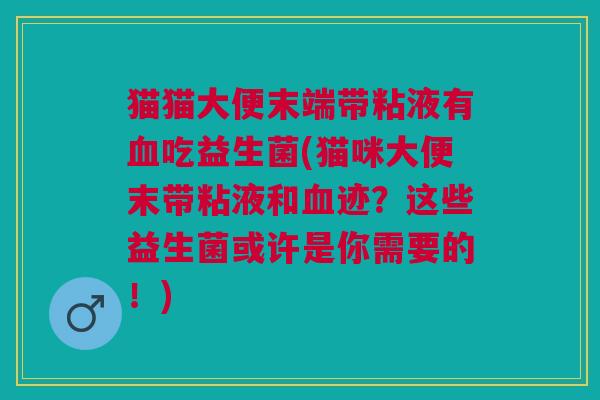 猫猫大便末端带粘液有血吃益生菌(猫咪大便末带粘液和血迹?这些益生菌或许是你需要的!)