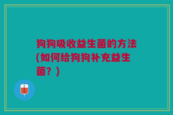 狗狗吸收益生菌的方法(如何给狗狗补充益生菌?)