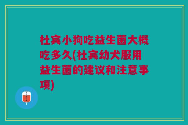 杜宾小狗吃益生菌大概吃多久(杜宾幼犬服用益生菌的建议和注意事项)