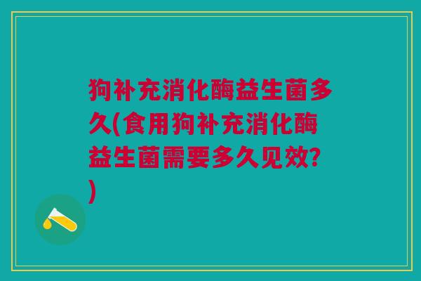 狗补充消化酶益生菌多久(食用狗补充消化酶益生菌需要多久见效?)